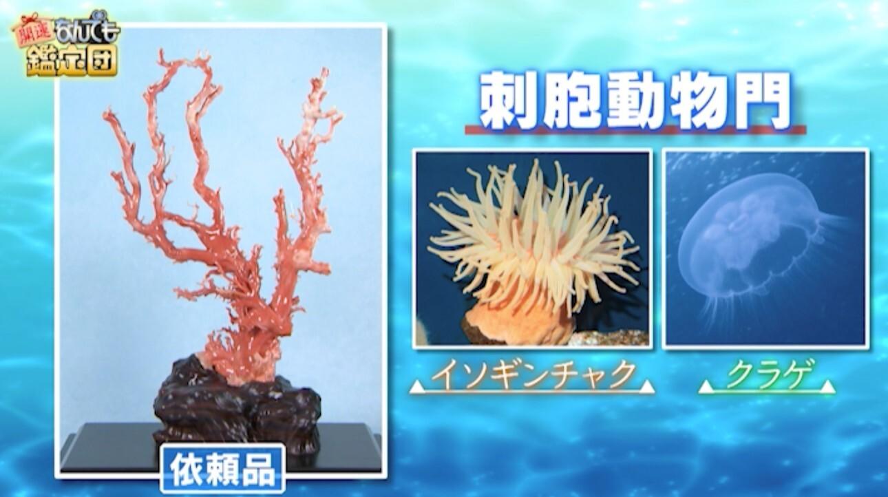 記事画像