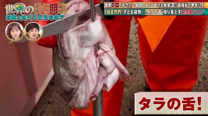 記事画像