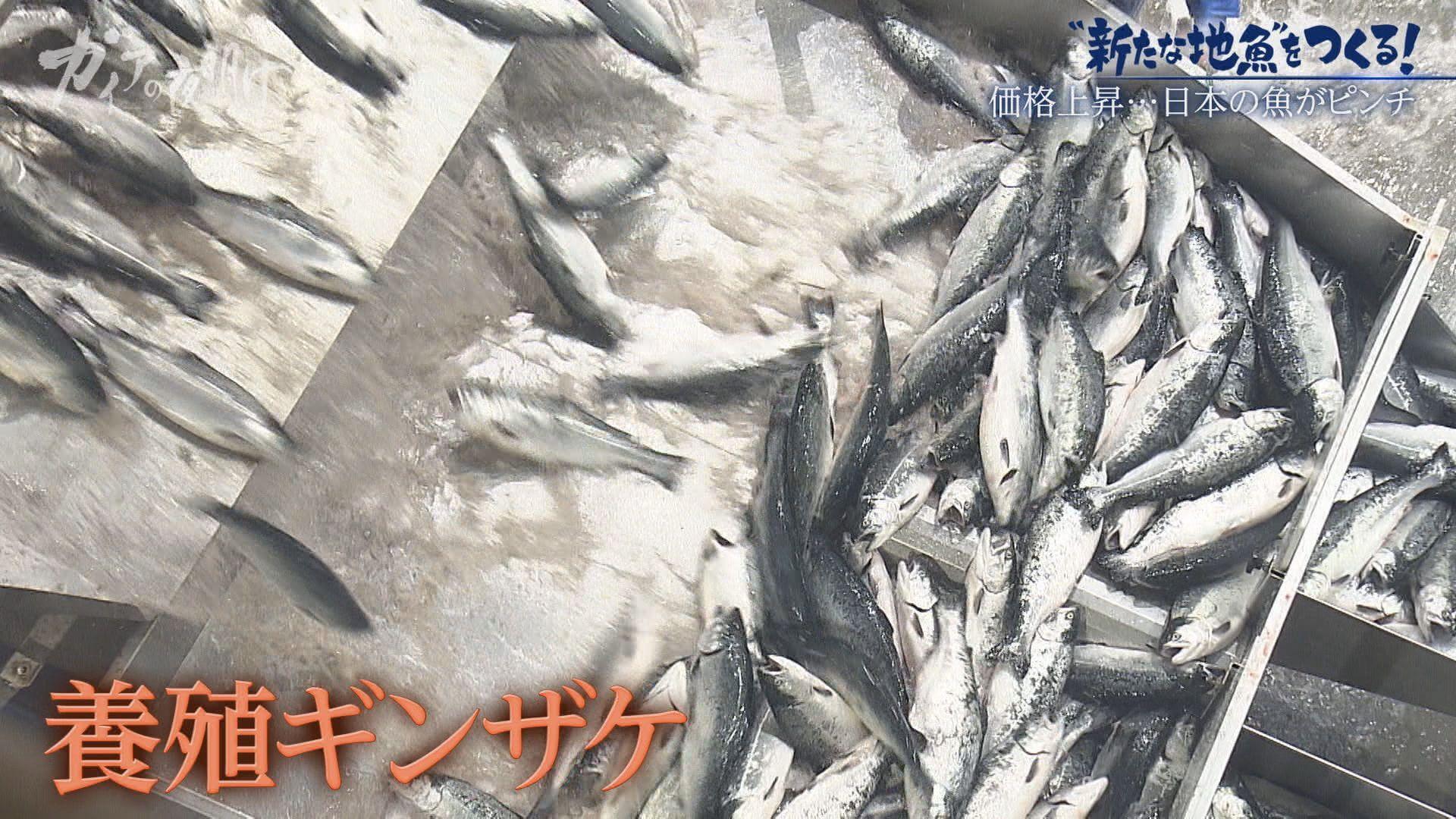 記事画像