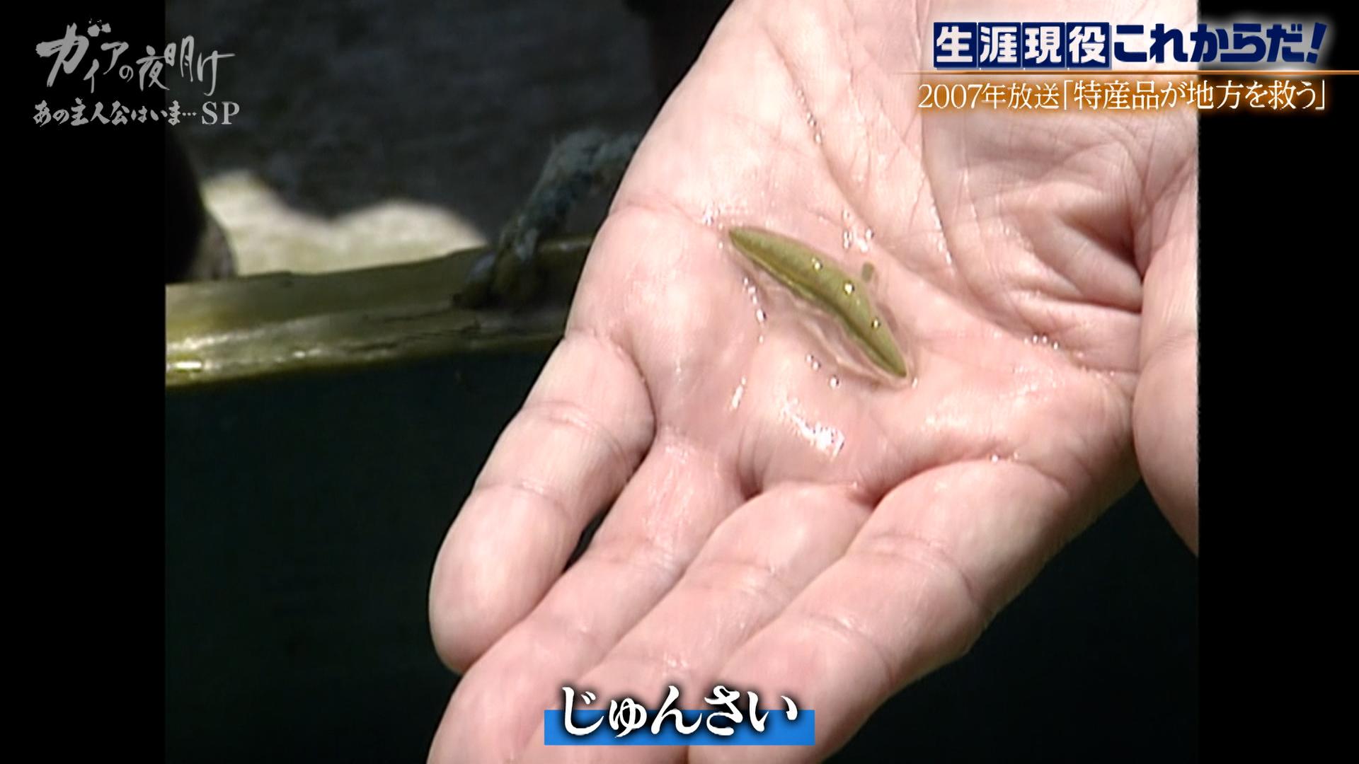 ガイアの夜明け