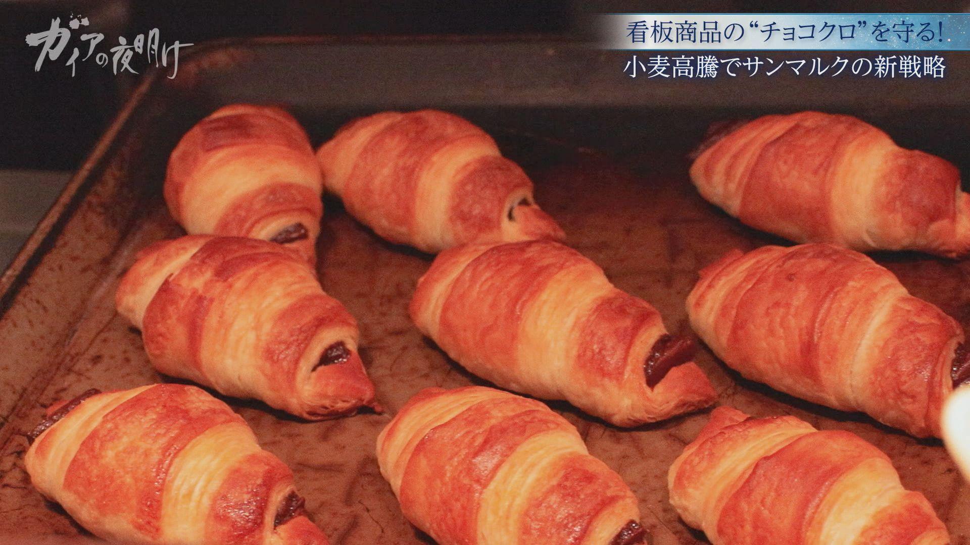 ガイアの夜明け