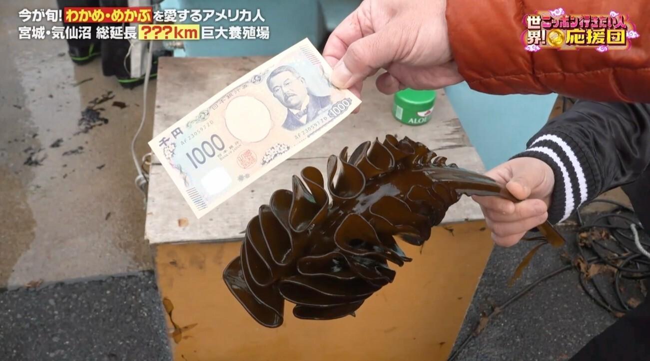 天然わかめの潜水漁に同行!初めての“めかぶ”をしゃぶしゃぶで豪快に!:世界!ニッポン行きたい人応援団