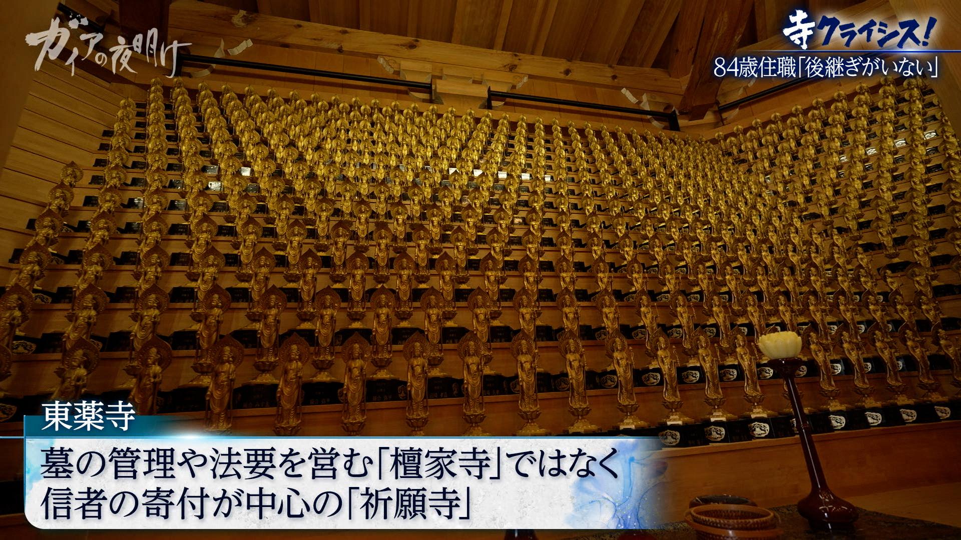 7／24ガイア