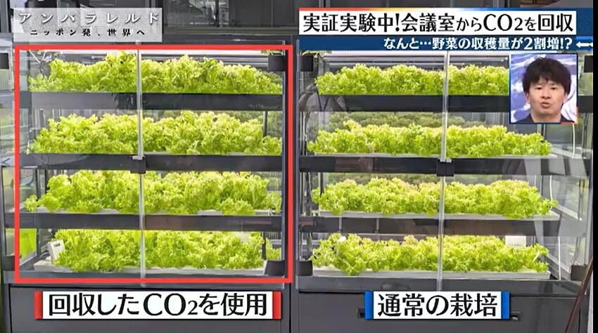 記事画像