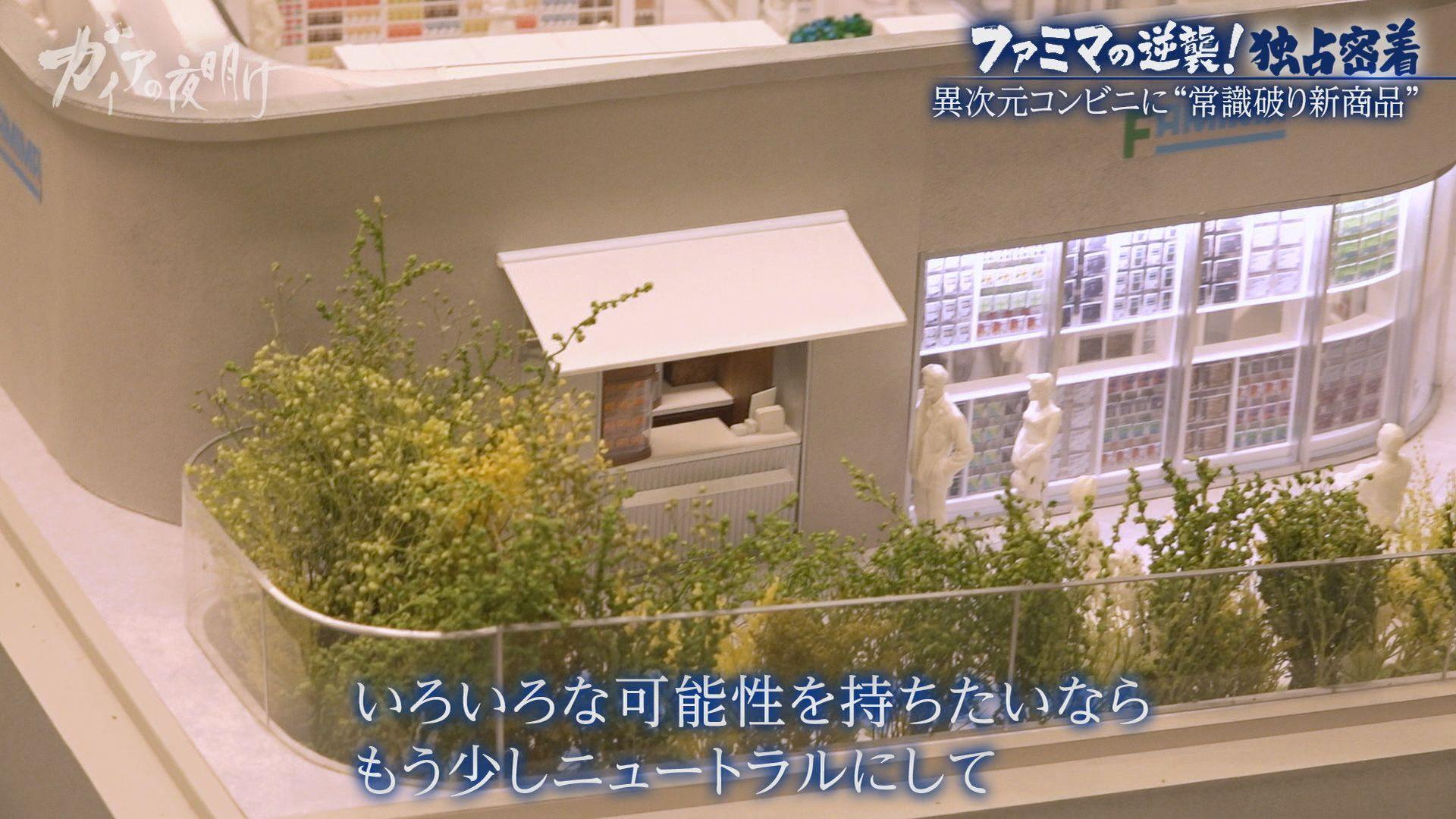 ガイアの夜明け
