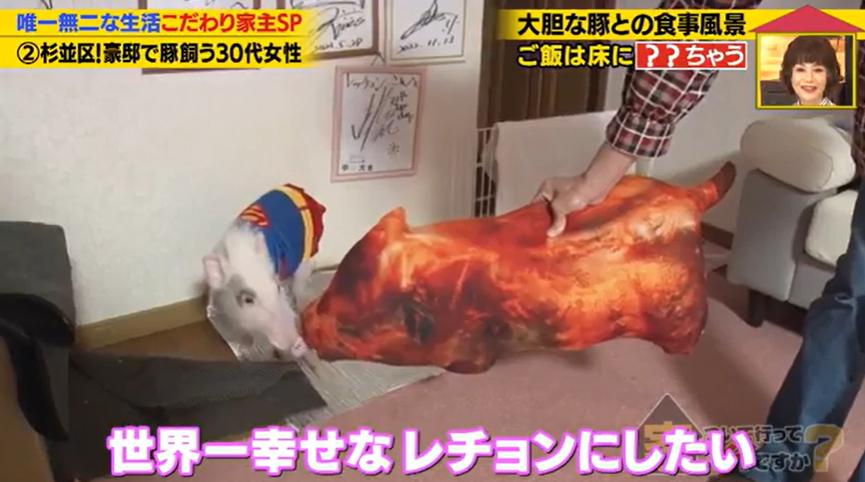 家、ついて行ってイイですか?
