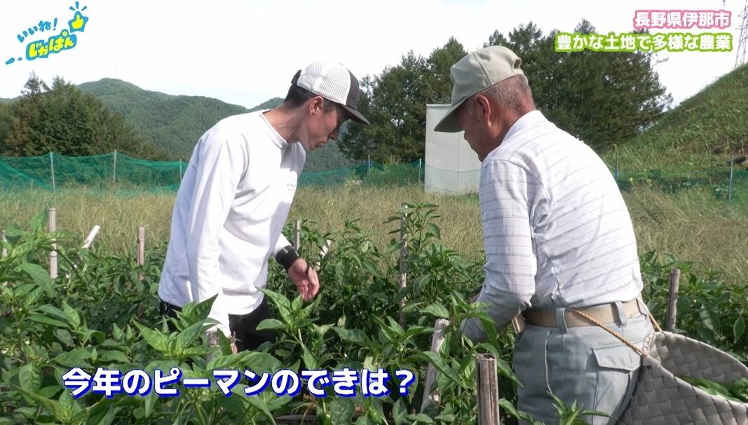 【日本一の給食の秘密】アルプスの恵みで育った米や野菜が地元と大都市の子供を繋ぐ