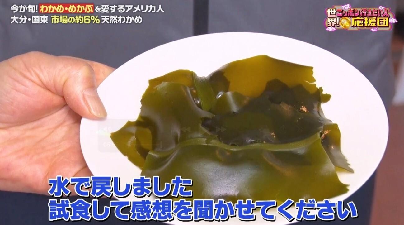 天然わかめの潜水漁に同行!初めての“めかぶ”をしゃぶしゃぶで豪快に!:世界!ニッポン行きたい人応援団