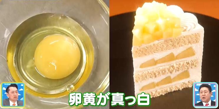 記事画像