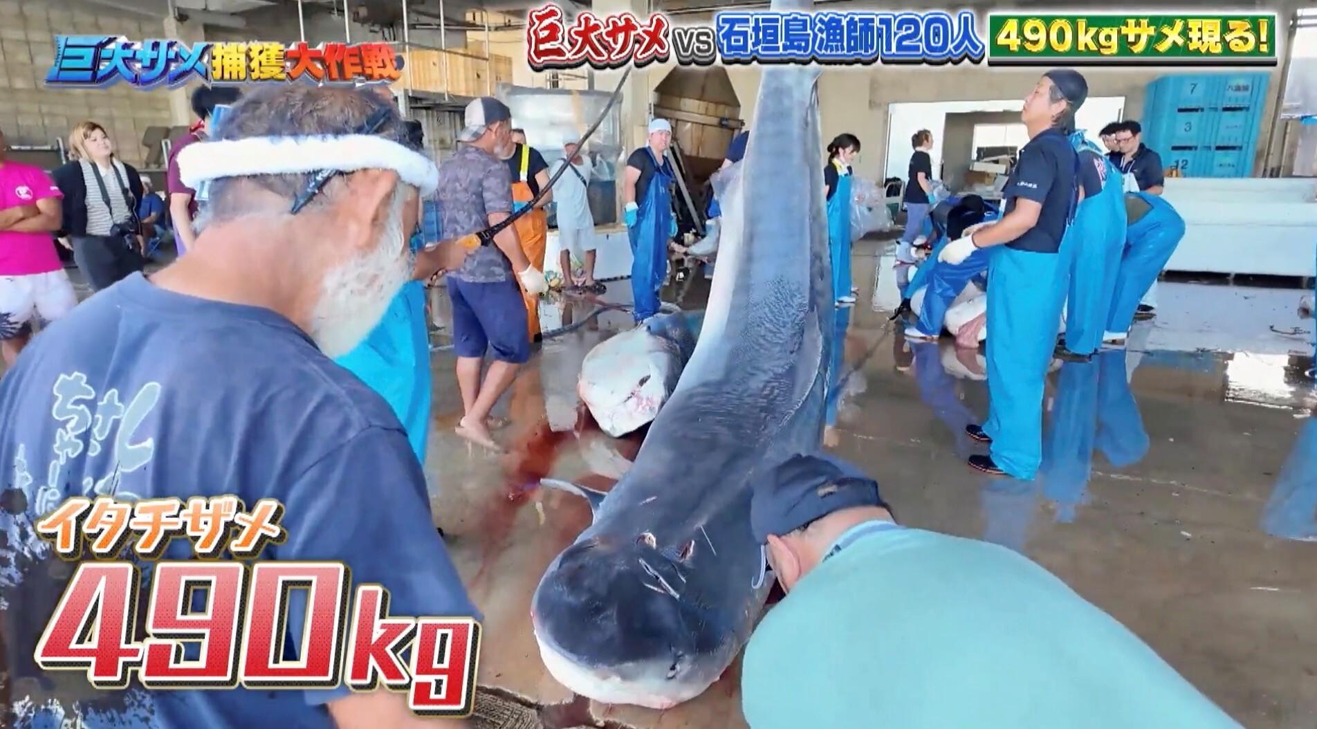 記事画像