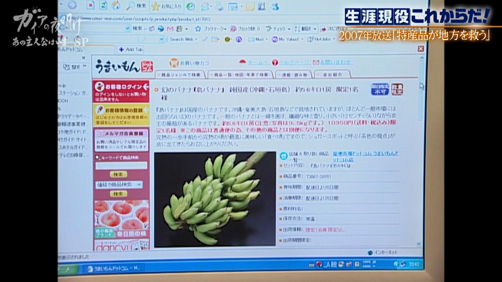 ガイアの夜明け