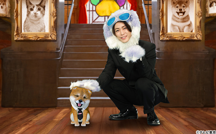 亀梨和也、独立後初のレギュラー番組は犬の姿で登場？「家族のことを