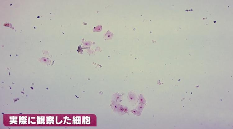 驚異の進学実績【鴎友学園・頌栄女子学院・洗足学園】女子校のメリットとは?「競争より“共闘”で伸びる」