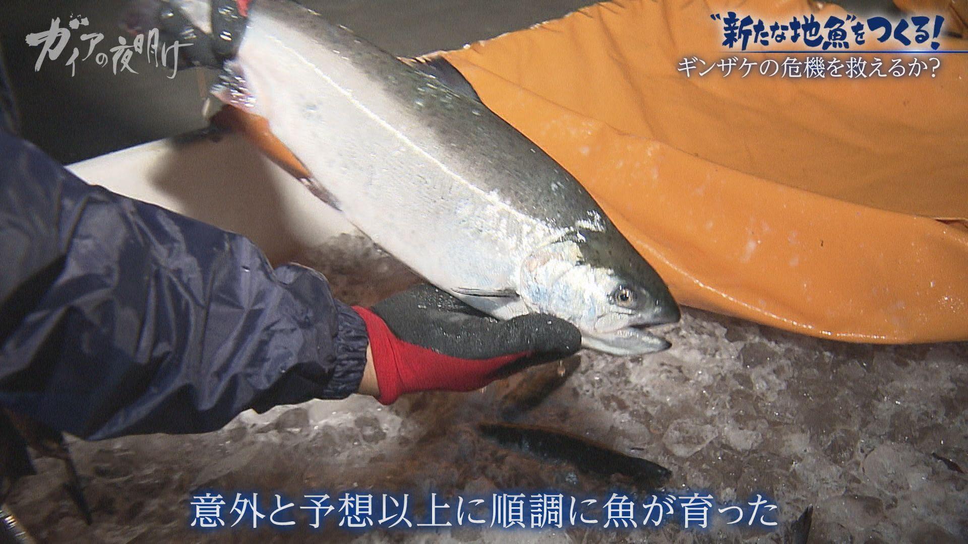 記事画像