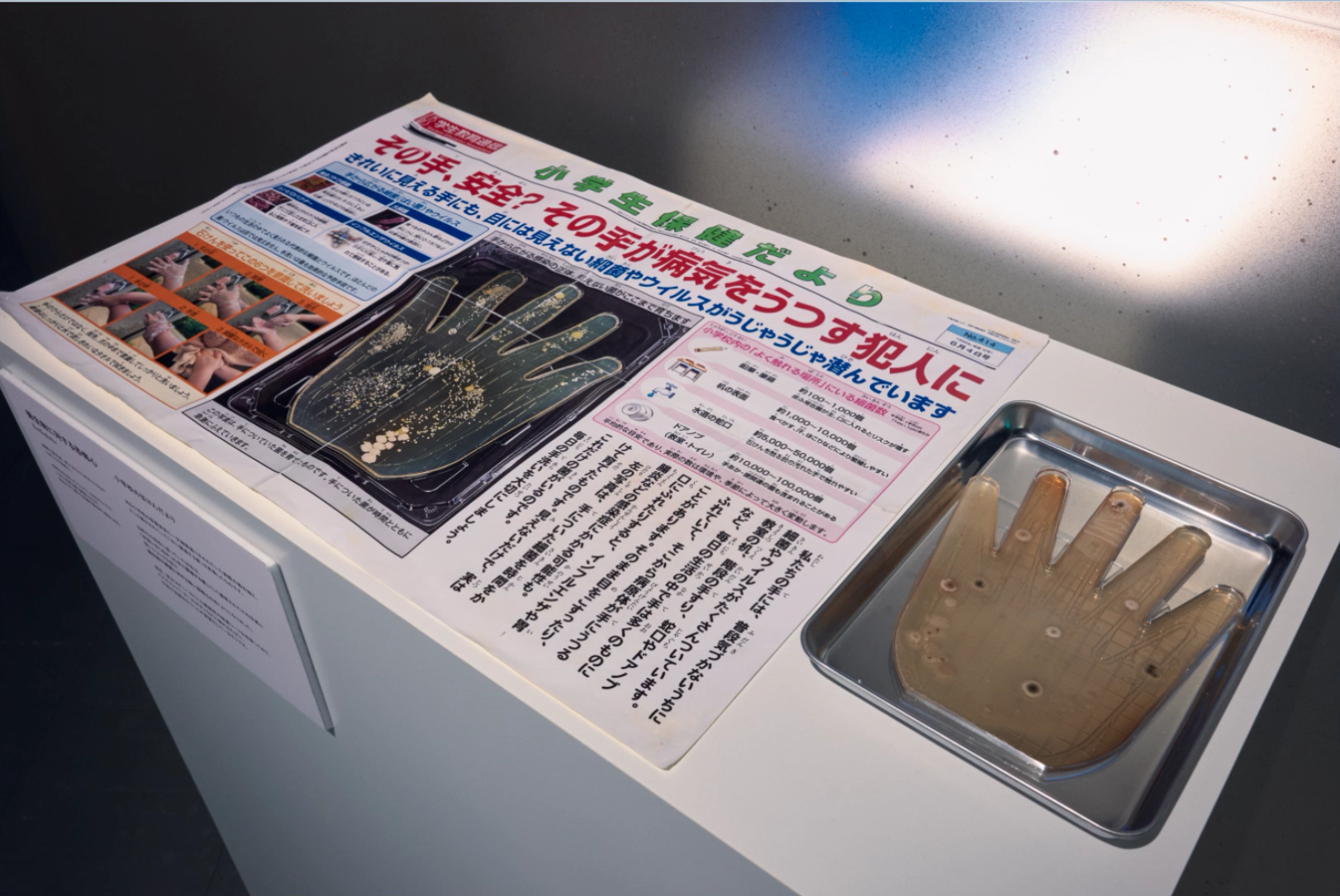 恐怖心展ウイルス