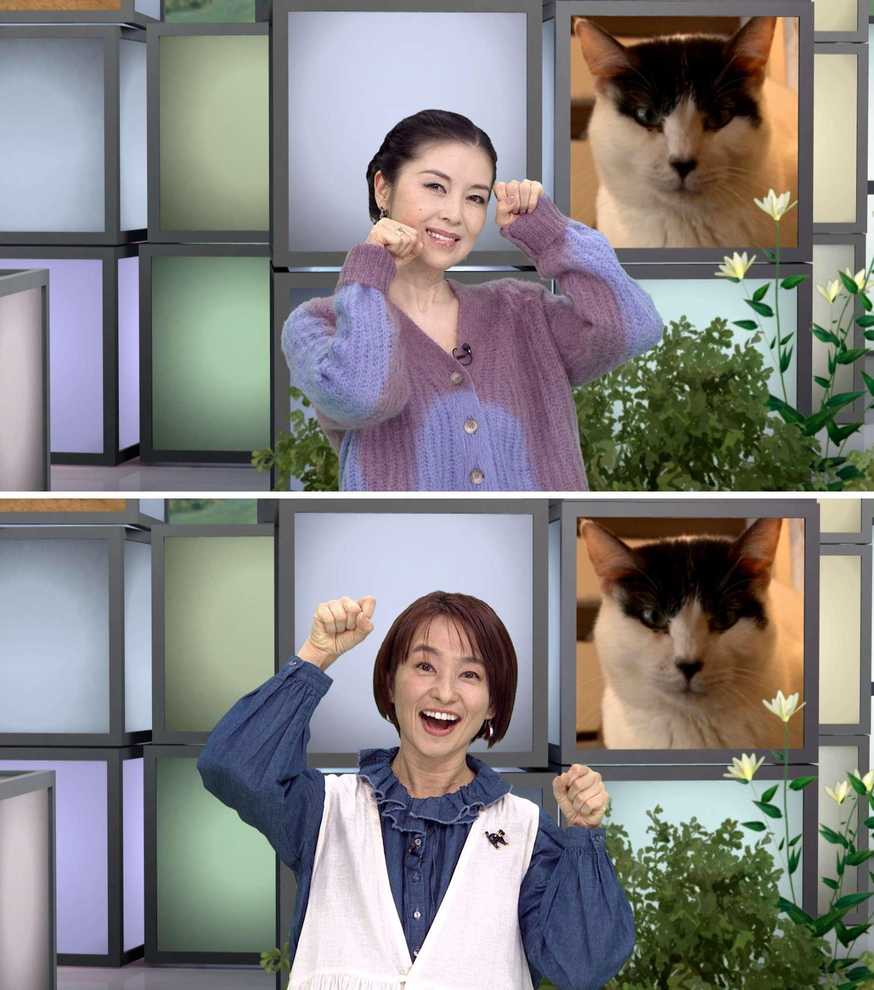 「猫のこと、ちゃんと考える~猫の幸せ 私の幸せ~」