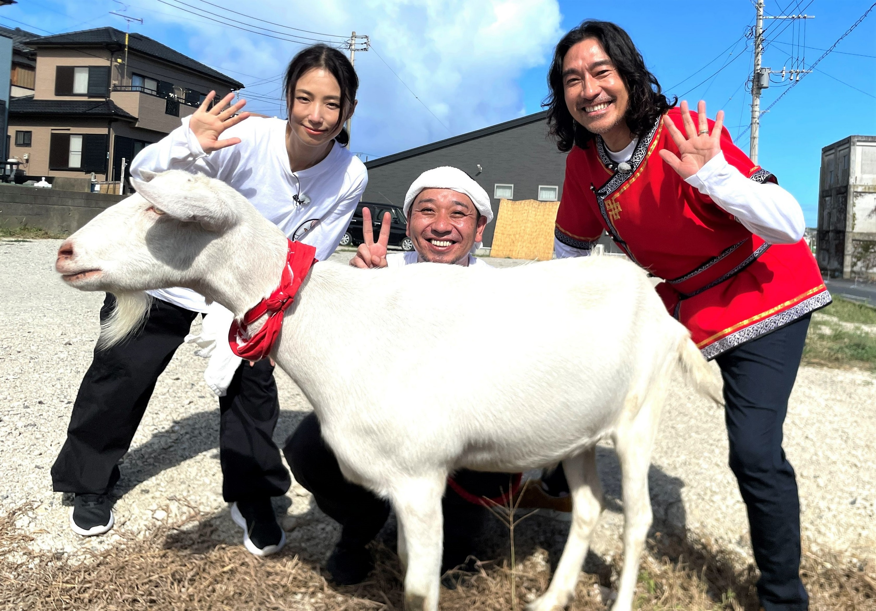 【ヤギと大悟】9月8日から4週にわたり、千葉県銚子市で雑草モグモグ旅！ウルフルズ・トータス松本、MEGUMI が登場！ポポ初めての海に大興奮！弟分・モロコシ登場に拗ねる!?さらにサプライズ発表あり！ 