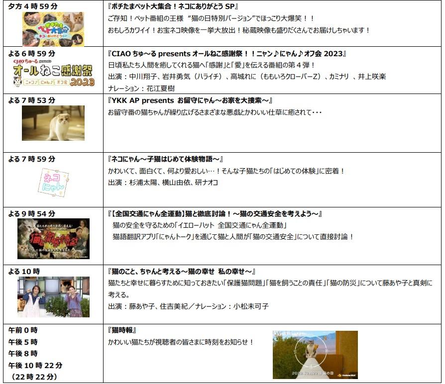 猫まみれ編成2
