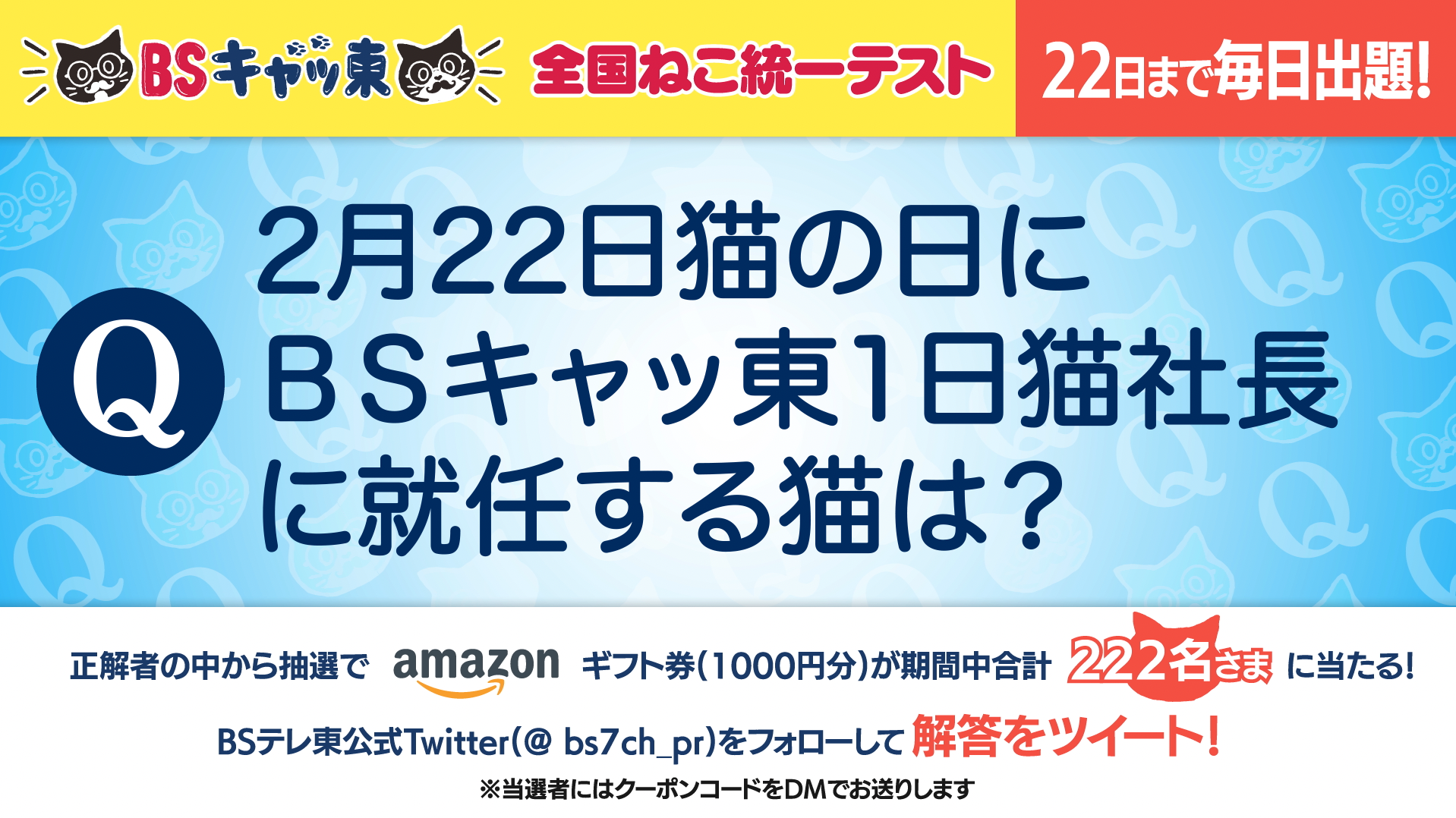 ＢＳキャッ東 全国ねこ統一テスト