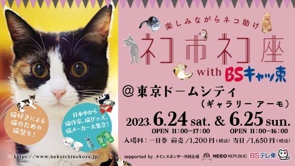 「ネコ市ネコ座」