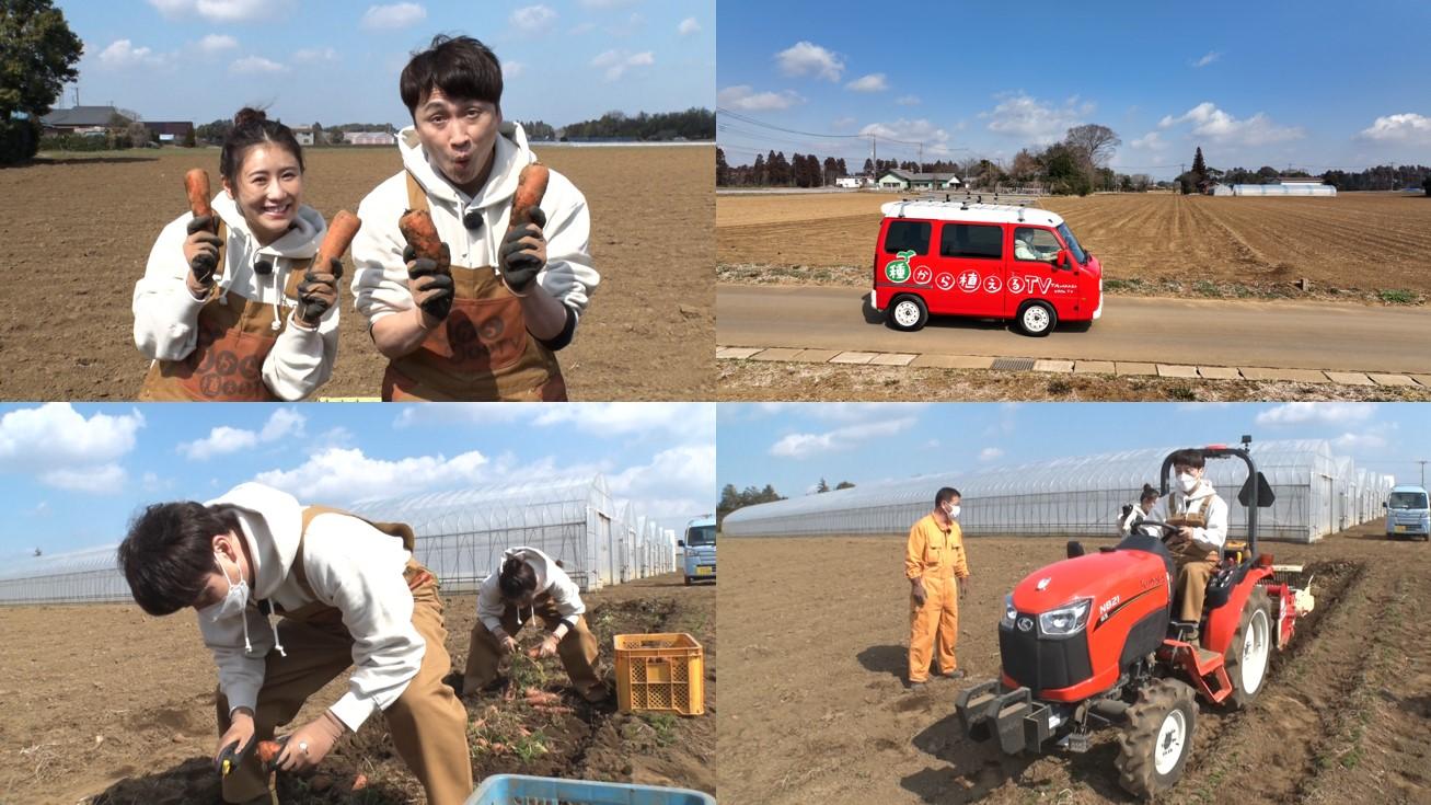 種から植えるTV01