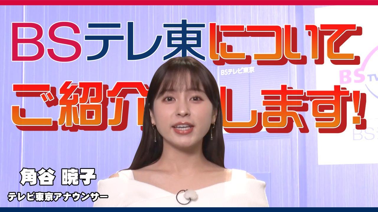 テレビ東京/BSテレ東 スポンサー&パートナー ポータル１