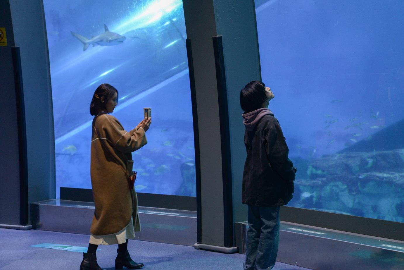 『シジュウカラ』リリース掲載写真