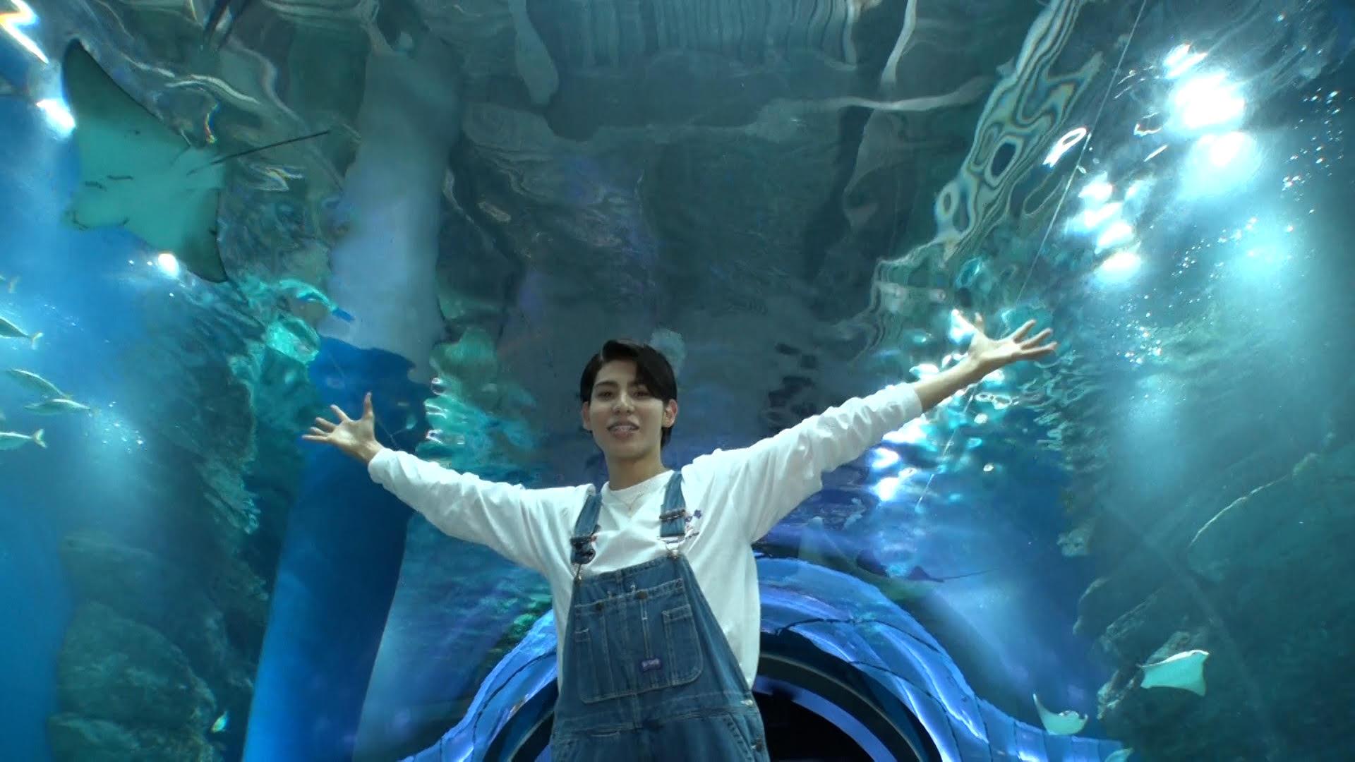 【どうぶつピース!!】Snow Man・ラウールがロケ参戦！動物ビビり脱却を目指し水族館でふれあいツアー！