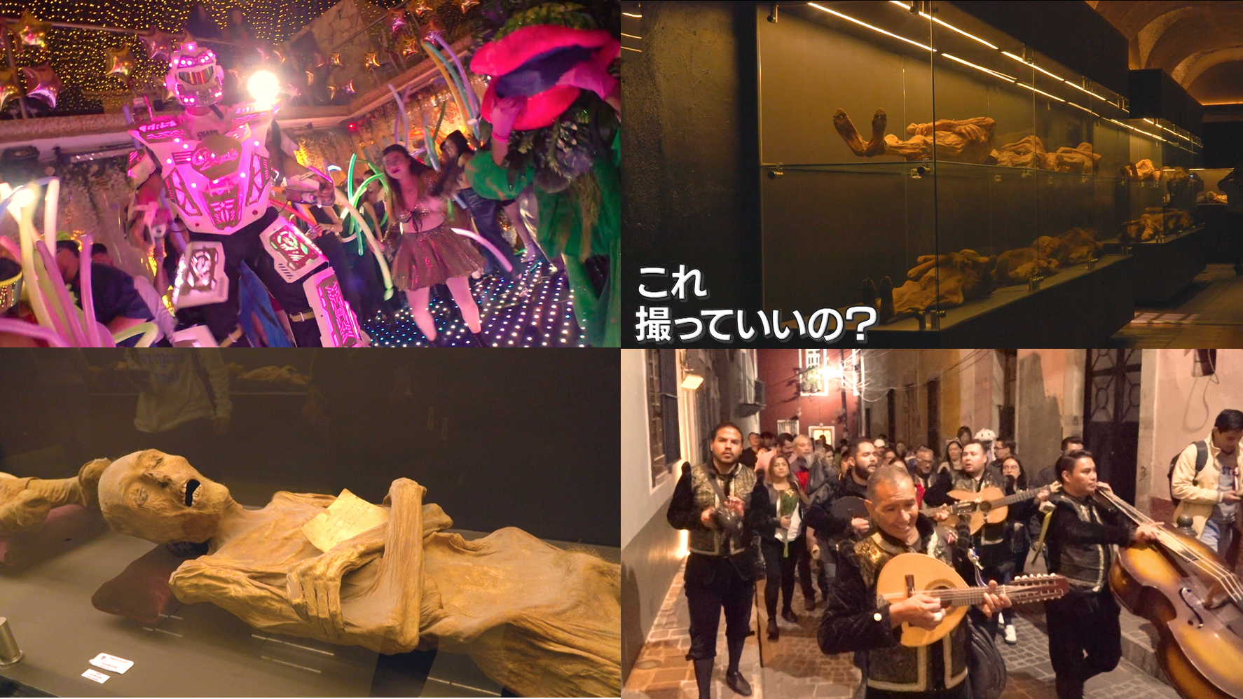 ワールド１場面写真１枚目