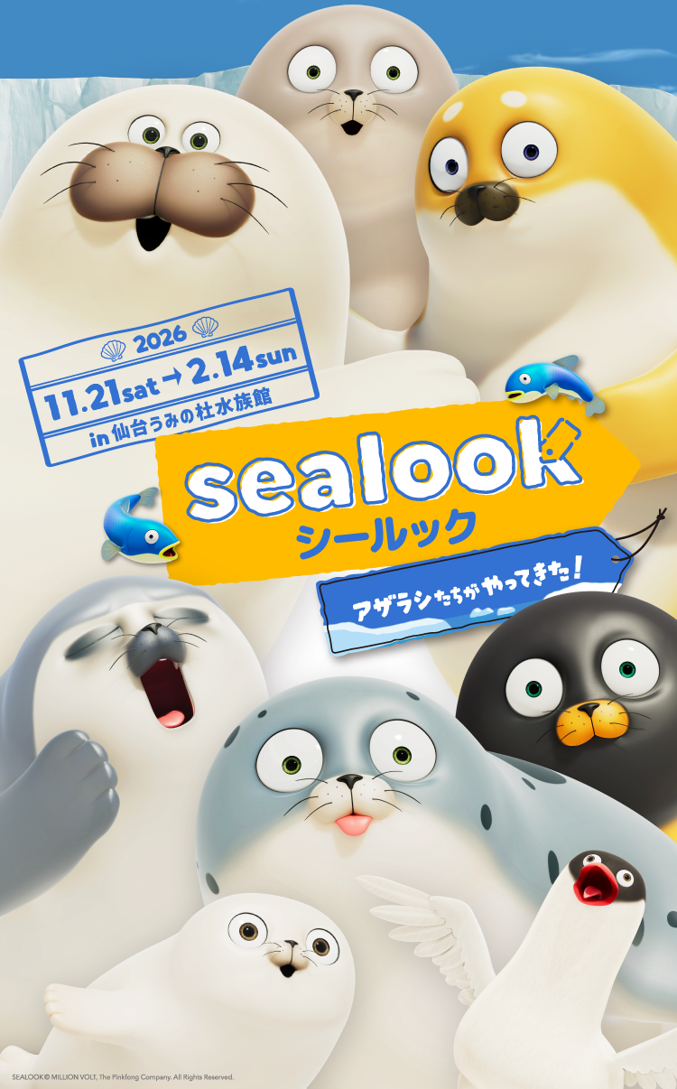 「SEALOOK」日本初！水族館とのコラボが決定！仙台うみの杜水族館にて2026年11月21日（土）～2027年2月14日（日）