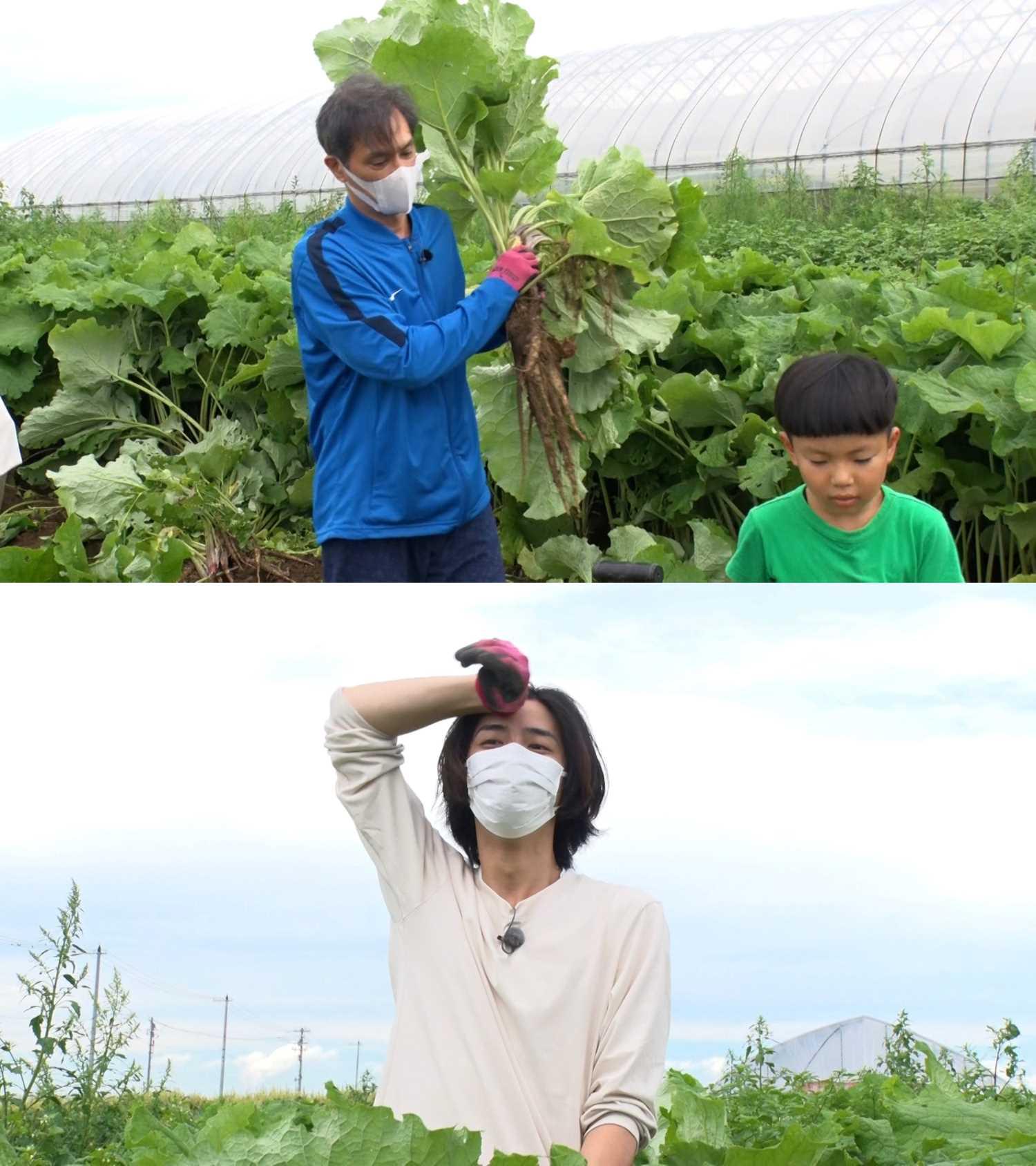 野菜の日２