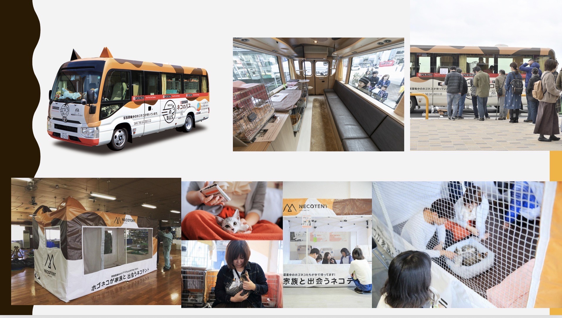 「ネコ市ネコ座」組み写真