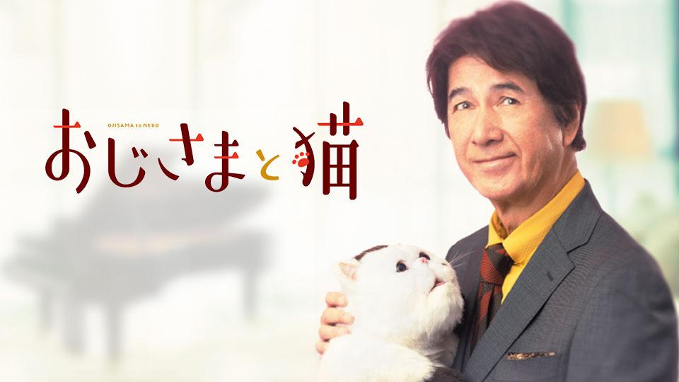 BSキャッ東「おじさまと猫」