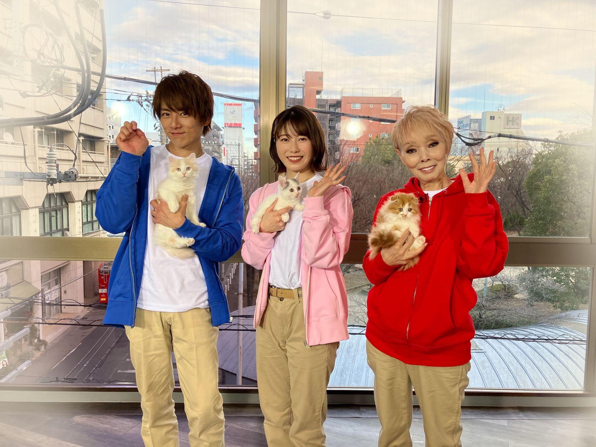 BSテレ東「ネコにゃん~子猫はじめて体験物語~」代表カット