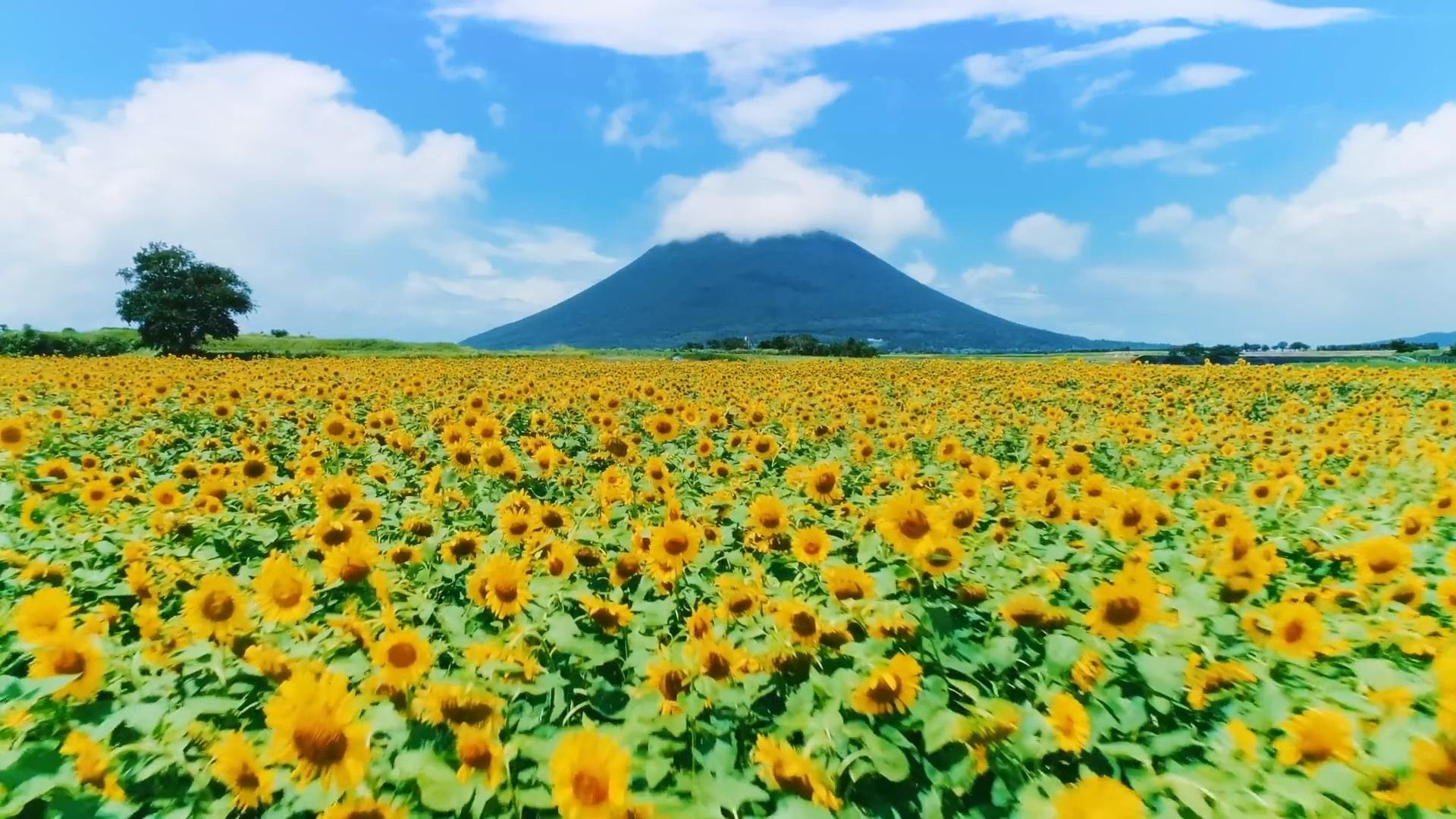 ©テレビ東京 行ってよかった観光地ランキング