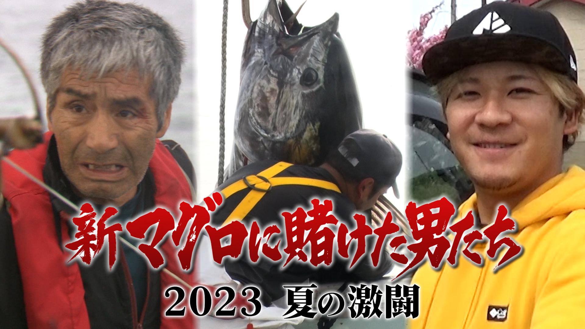 22年にわたって大間のマグロ漁師に密着取材を続けてきた番組の最新作「新マグロに賭けた男たち2023 夏の激闘」が8月26日(土)昼12時からTVerで無料配信スタート！大人気釣り系動画クリエイター「釣りよかでしょう。」のきむも再び登場！！