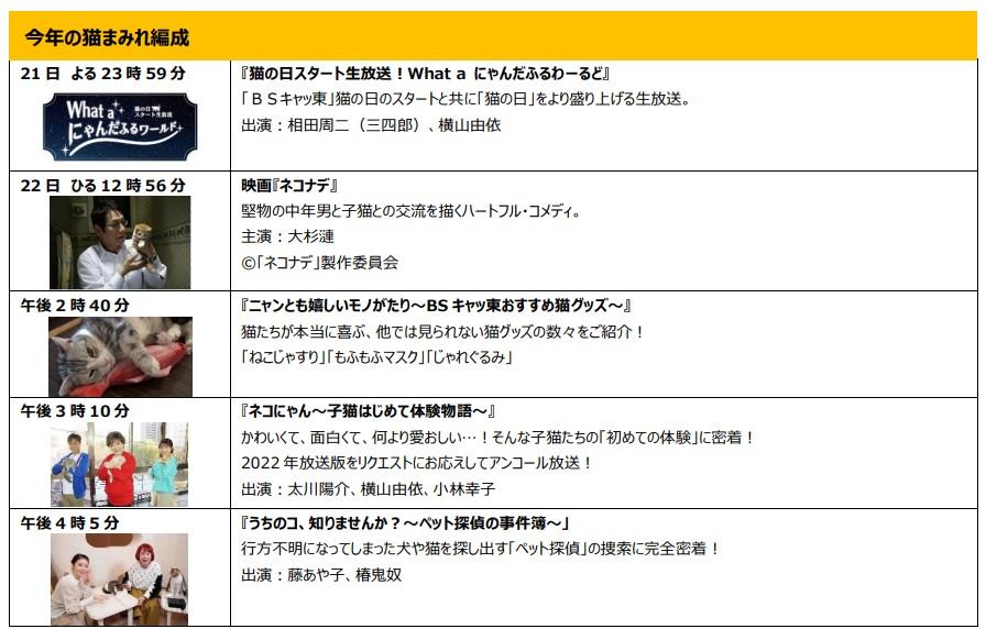 猫まみれ編成1