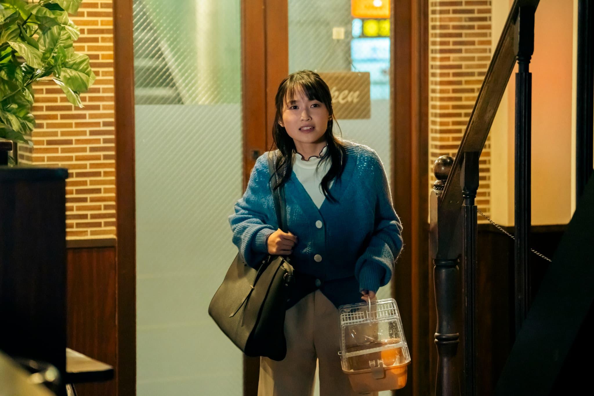 本日深夜24時52分～放送「ハコビヤ」最終回に「推しを召し上がれ～広報ガールのまろやかな日々～」主演の鞘師里保がサプライズ出演！！！