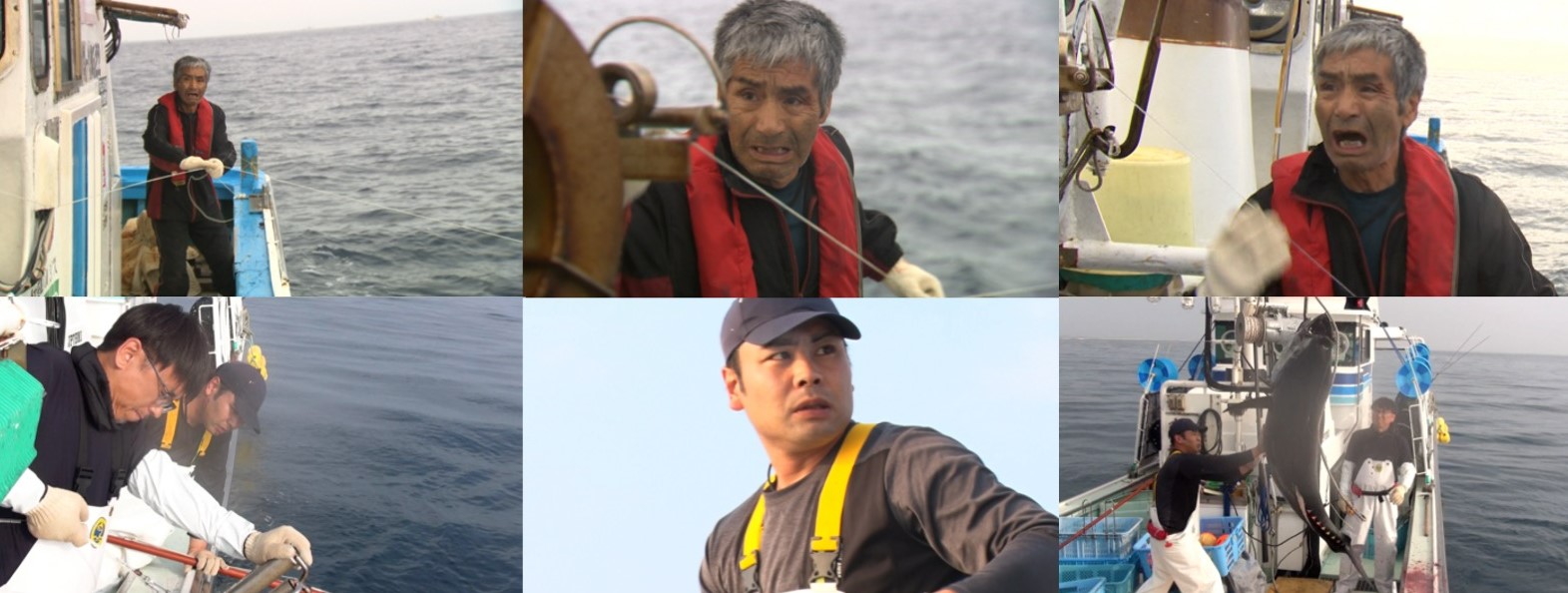 TX「新マグロに賭けた男たち2023 夏の激闘」組写真