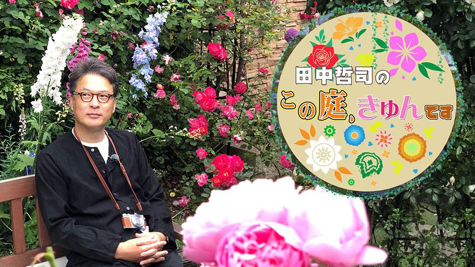 ＢＳテレ東　6月22日（火）夜6時54分放送！「田中哲司のこの庭、きゅんです～バラ満開！伊豆高原VS東京1000坪～」