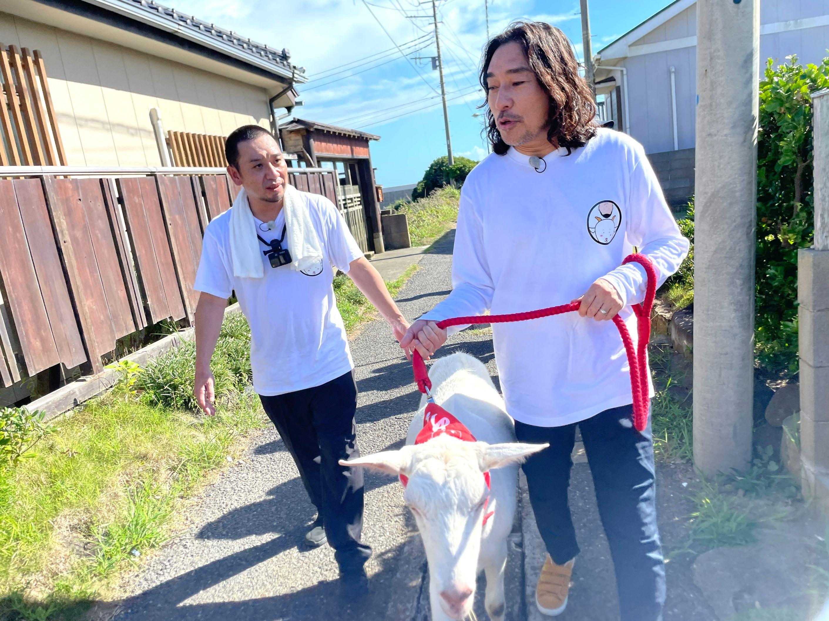 0908ヤギと大悟_003