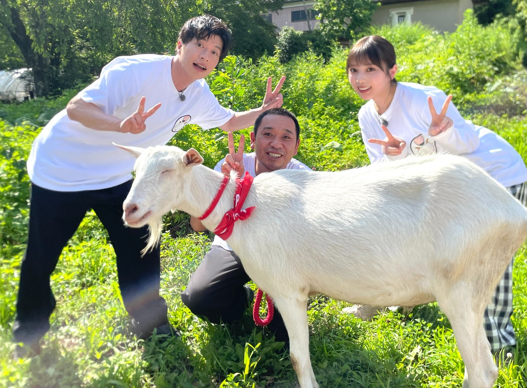 【ヤギと大悟】田中圭、与田祐希（乃木坂46）が本日8月11日(金)から4週にわたり登場！尾瀬国立公園で人気の避暑地！群馬県片品村で雑草モグモグ旅！温泉！トウモロコシ！湧水！群馬の大自然満喫S P！