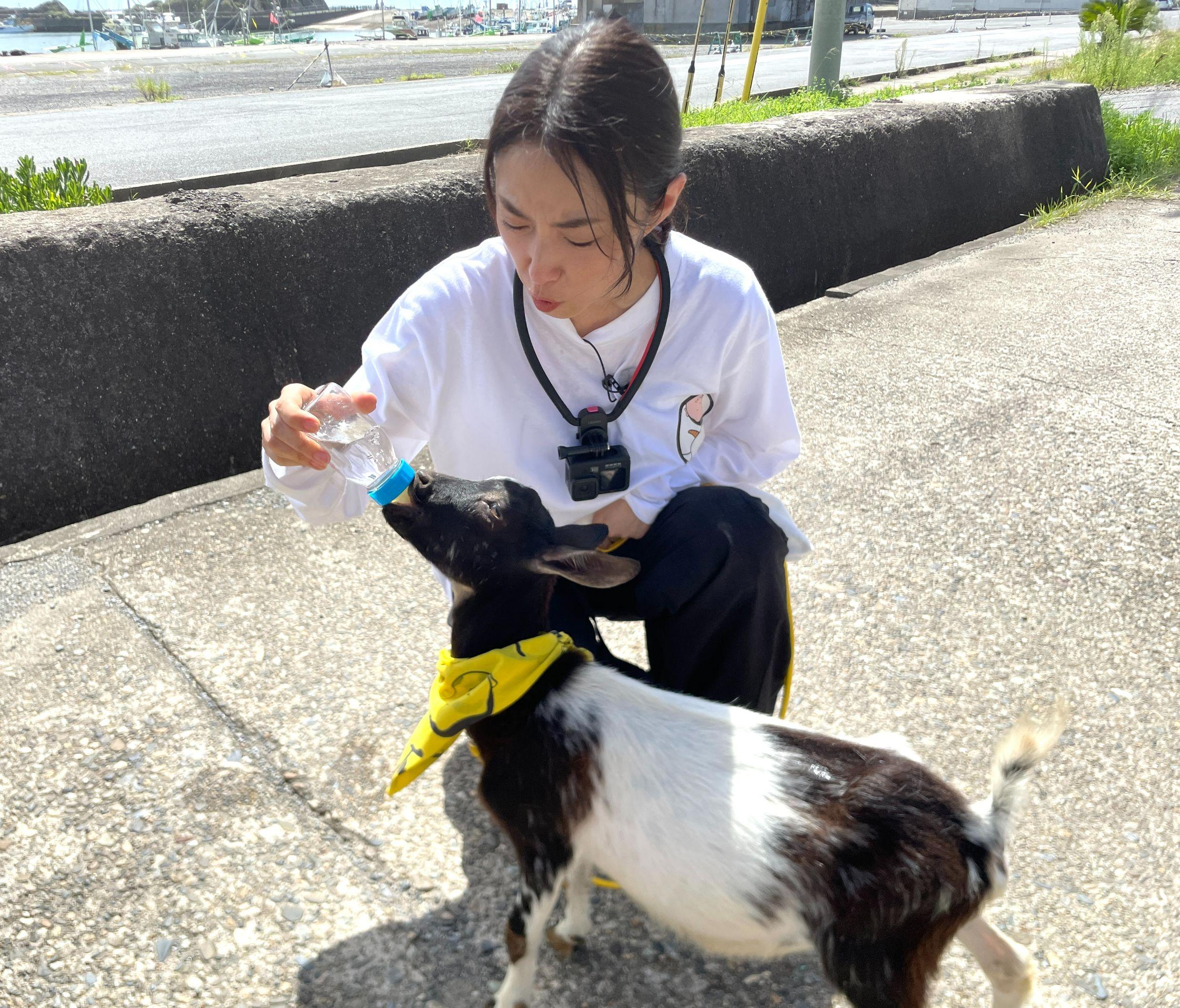 0908ヤギと大悟_002