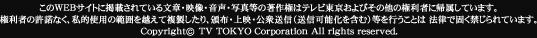 Copyright (c) TV TOKYO Corporation All rights reserved.