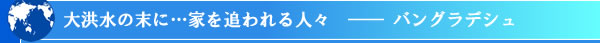 ��^���̖��Ɂc�Ƃ�ǂ���l�X�@�\�\ �o���O���f�V��