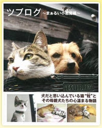 �c�u���O�`�܂��邢��������