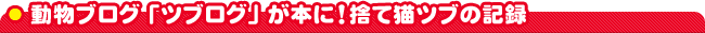 �����u���O�u�c�u���O�v���{�ɁI�̂ĔL�c�u�̋L�^