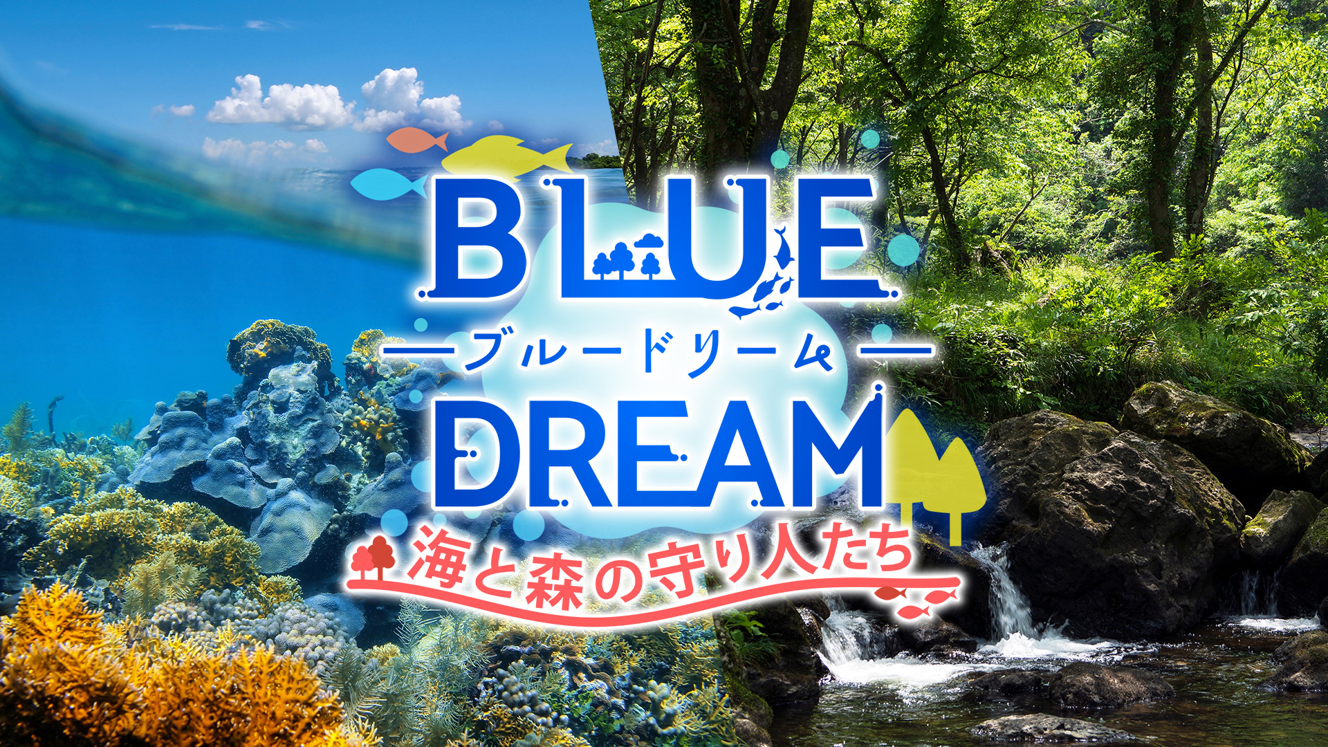 ブルードリーム