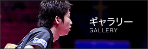 ギャラリー GALLERY
