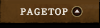 PAGETOP